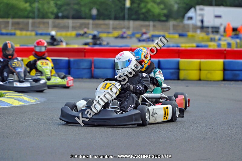 DSC_ (1456).jpg